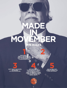 Movember: The Rules